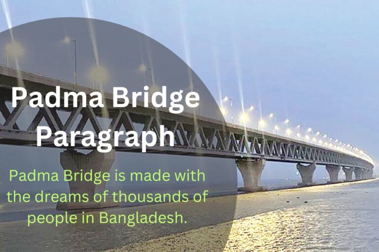 Padma Bridge Paragraph For All Classes, HSC And SSC