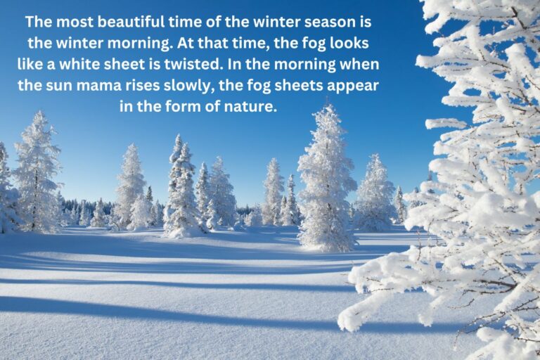 Winter Morning Paragraph For Class 5, 6, 7, 8 & 9-10 (SSC, HSC)