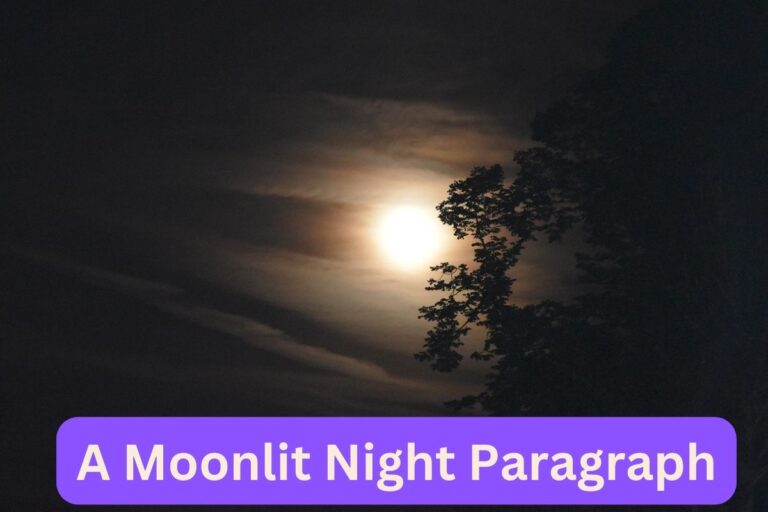 A Moonlit Night Paragraph For SSC, HSC (300, 200 Words)