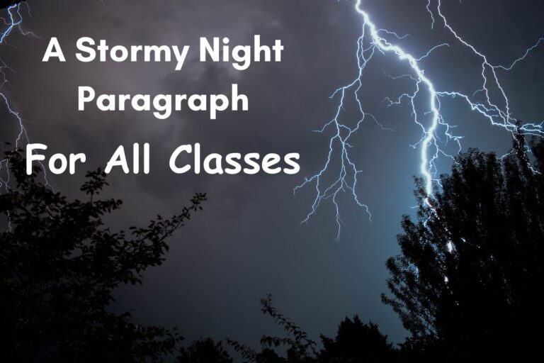 A Stormy Night Paragraph For All Classes (300, 150, 100 Words)