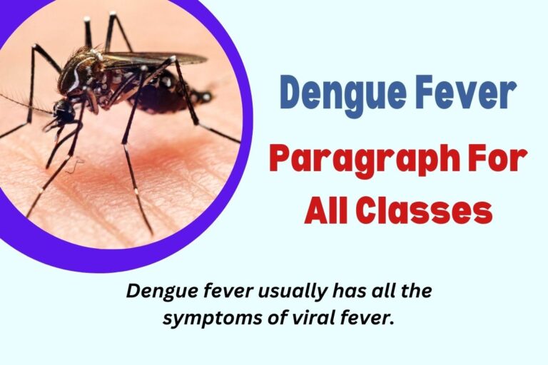 Dengue Fever Paragraph For All Classes (100, 200, 250 Words)