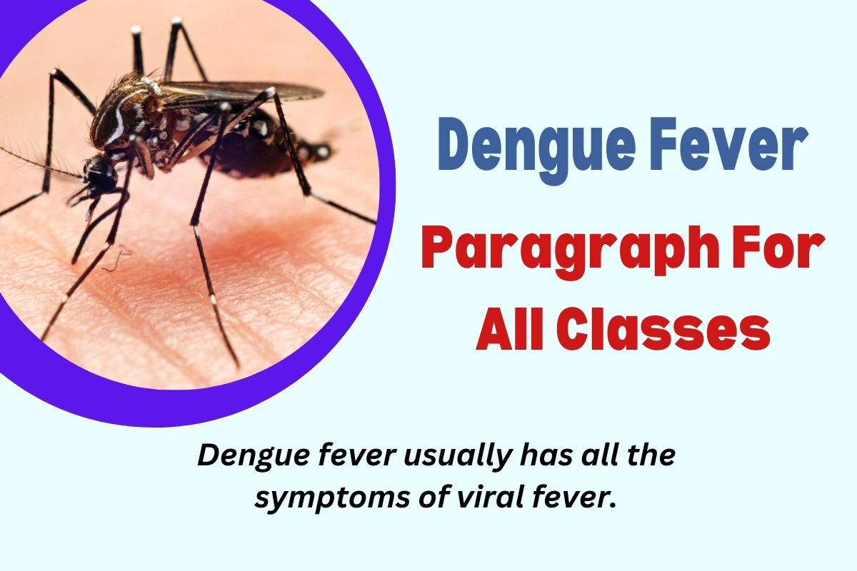 Dengue Fever Paragraph