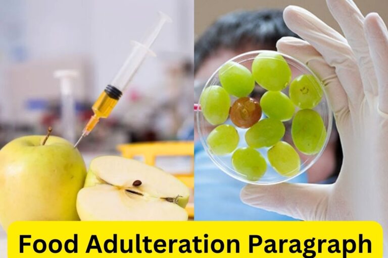 Food Adulteration Paragraph For HSC & All Classes (200, 150, 100, 300 Words)