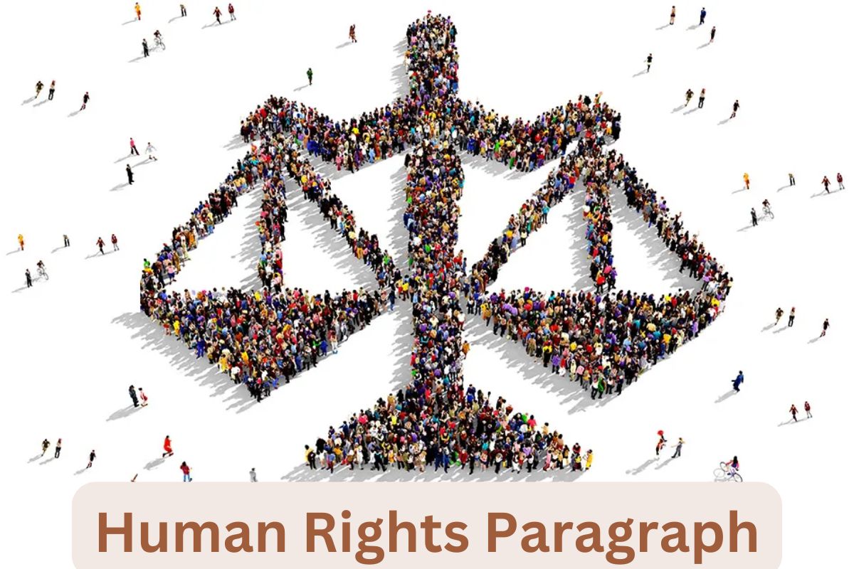 Human Rights Paragraph