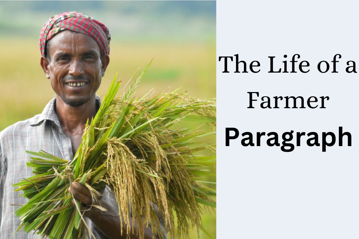 The Life of a Farmer Paragraph