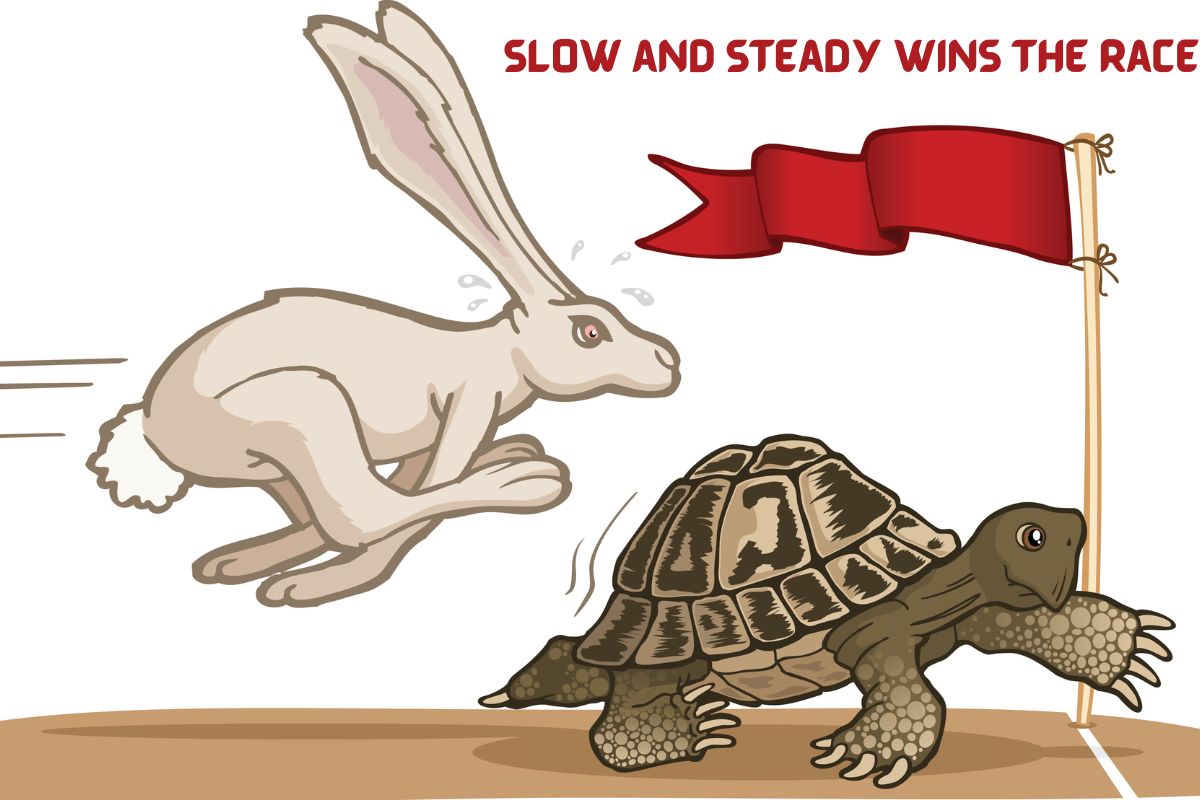 Slow and Steady Wins the Race Completing Story
